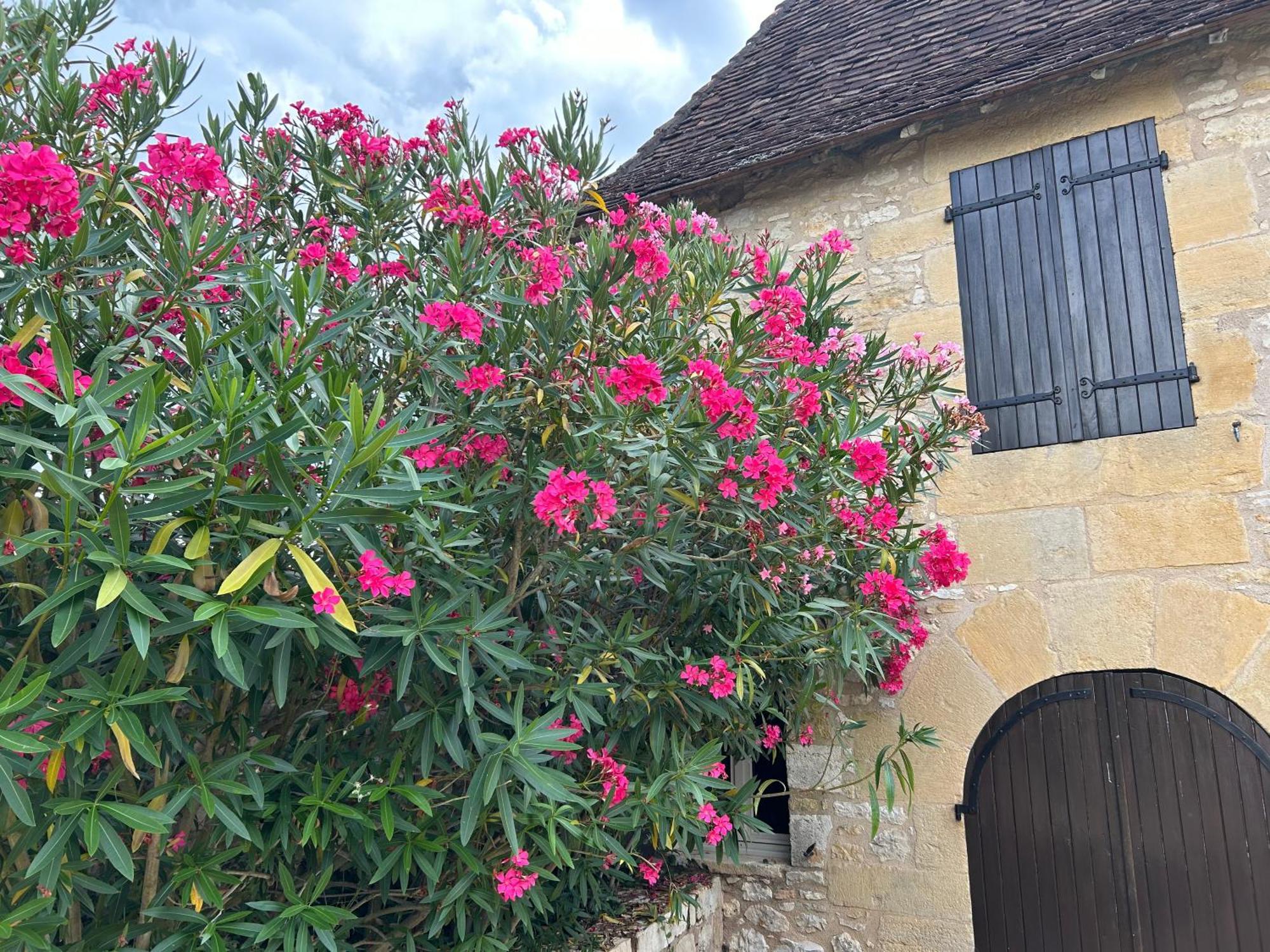 Demeure Du Vallon - Chambres D'Hotes De Charme Azerat Dış mekan fotoğraf