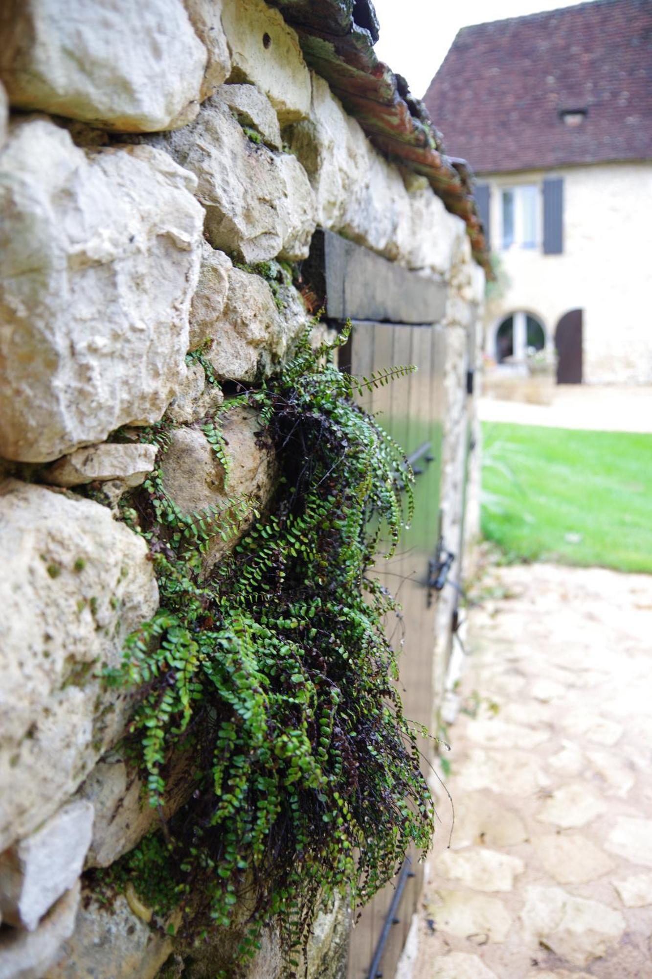 Demeure Du Vallon - Chambres D'Hotes De Charme Azerat Dış mekan fotoğraf